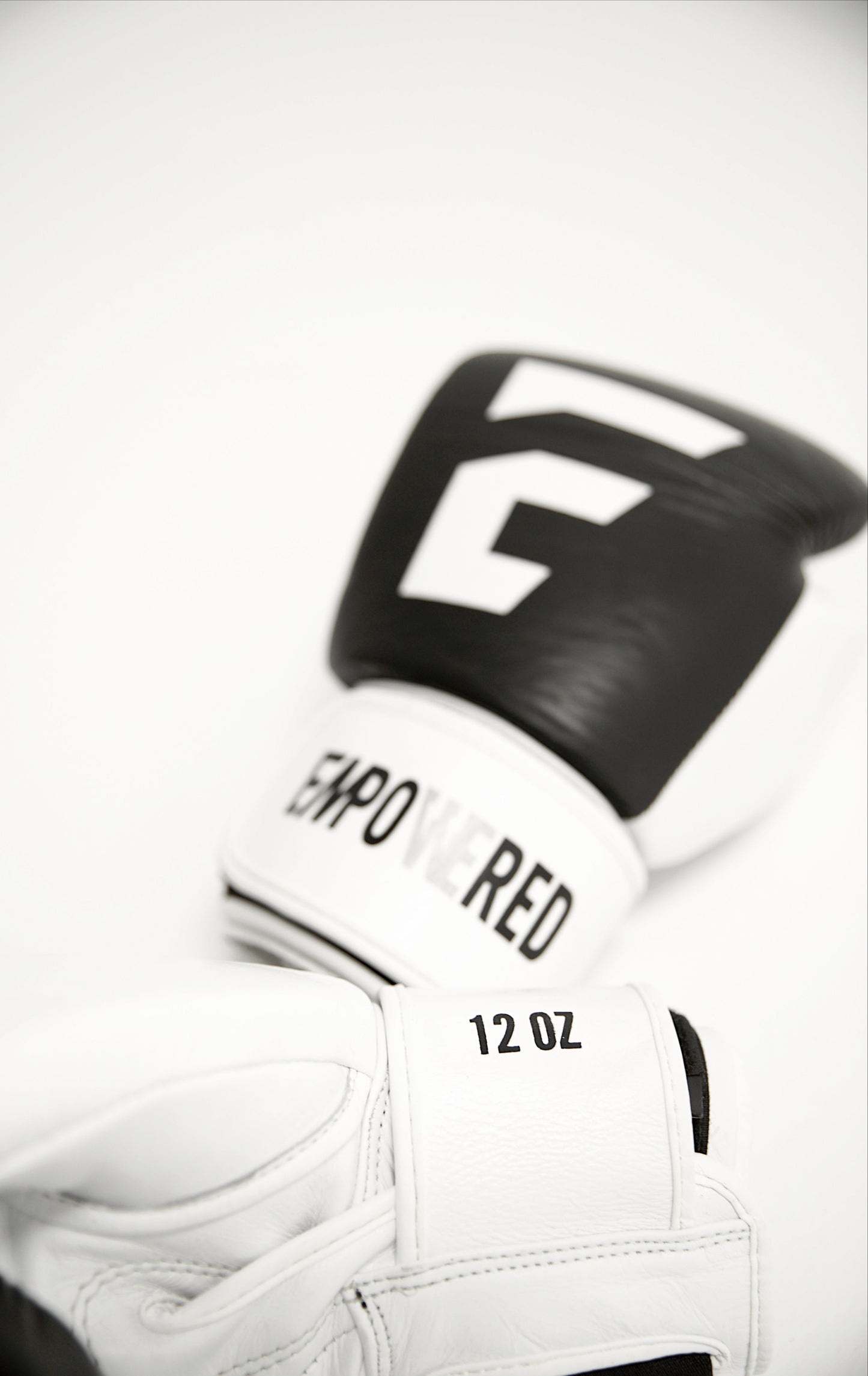 Adult Gloves 12 OZ